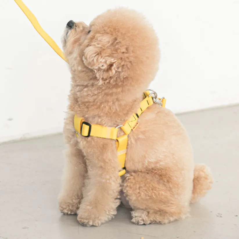 Candy Crayon Harness - Yellow