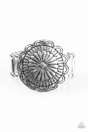 Paparazzi Ring ~ Seasonal Spinster - Silver